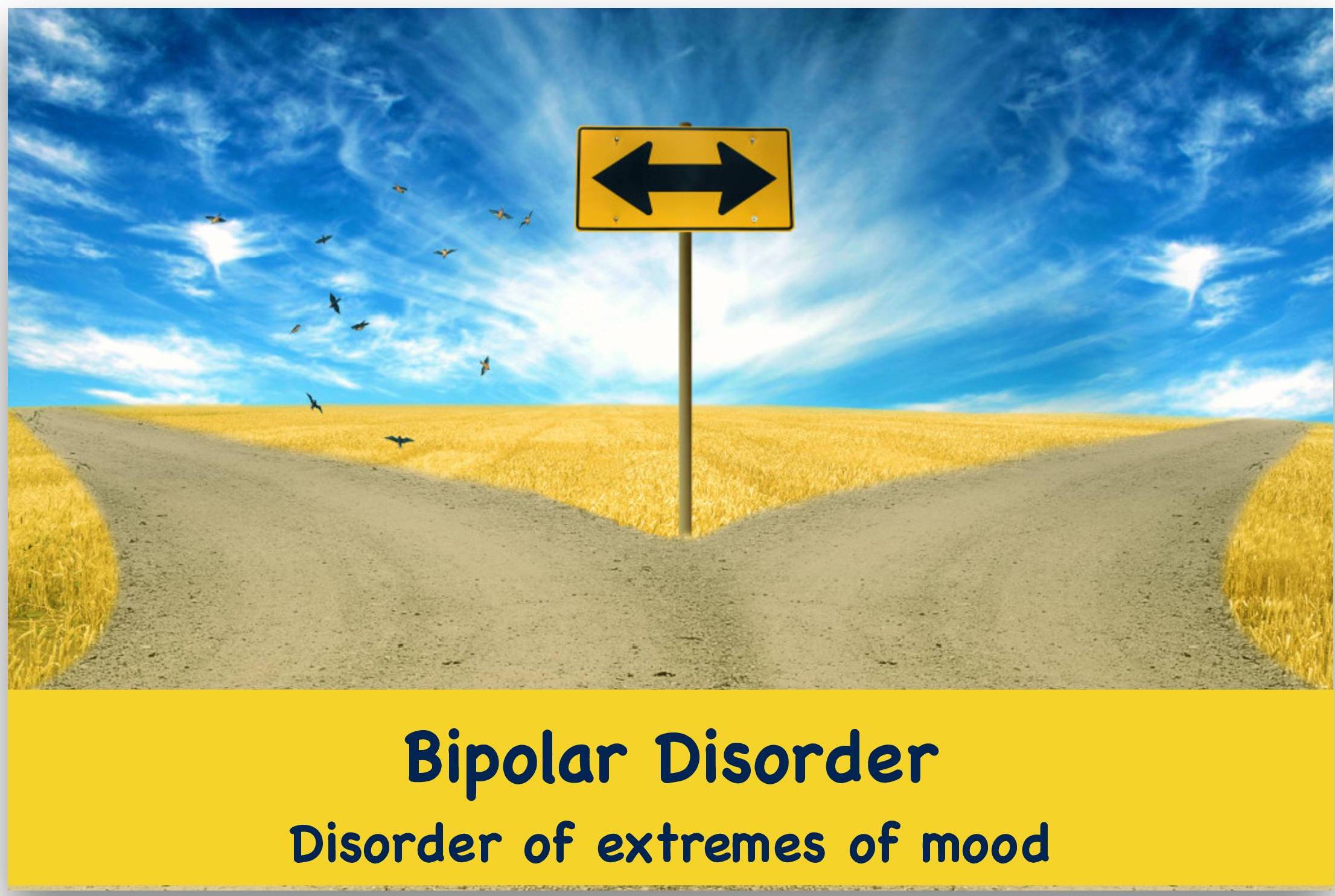 Mood Disorder/ Bipolar Disorder